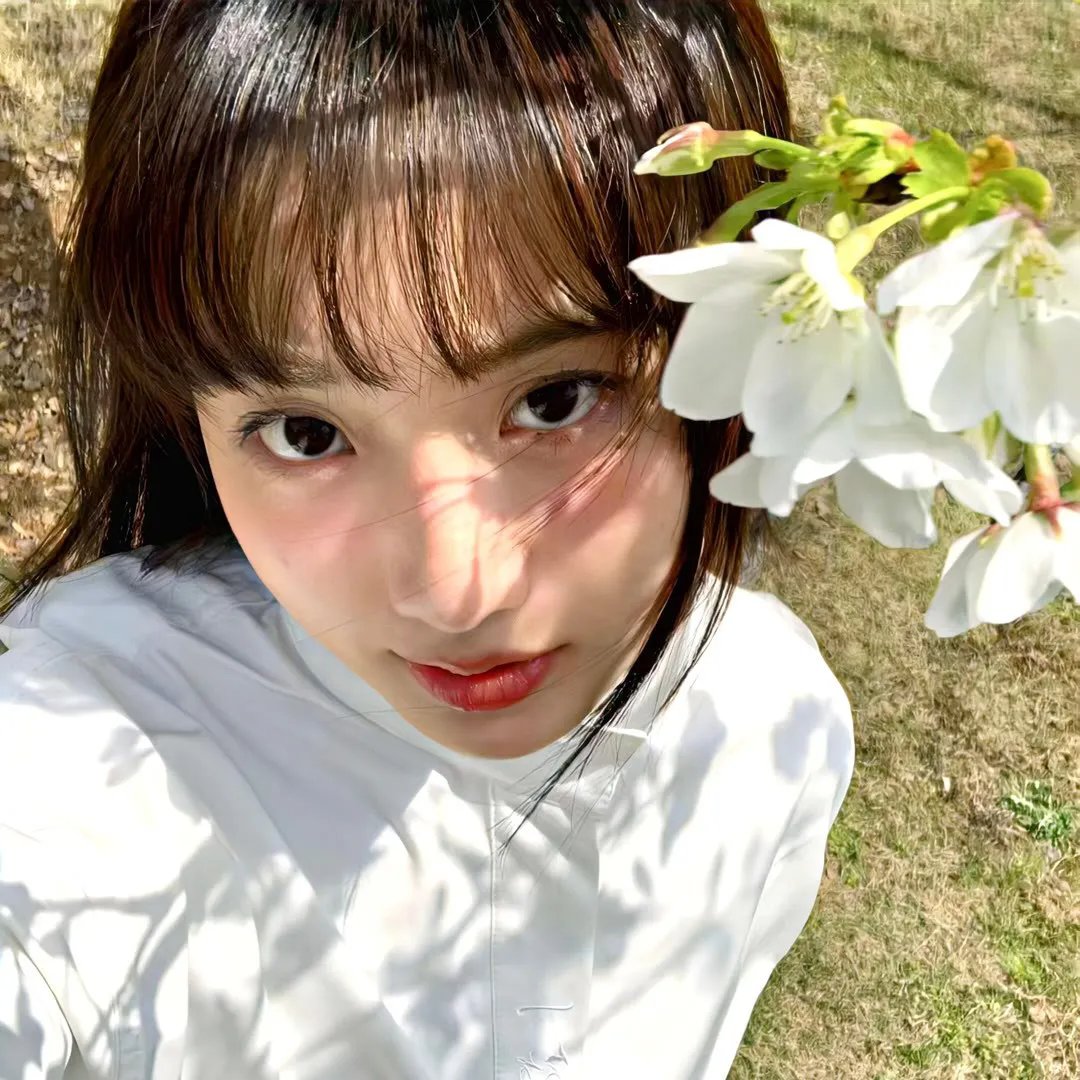 你靠山在哪！我只出一剑